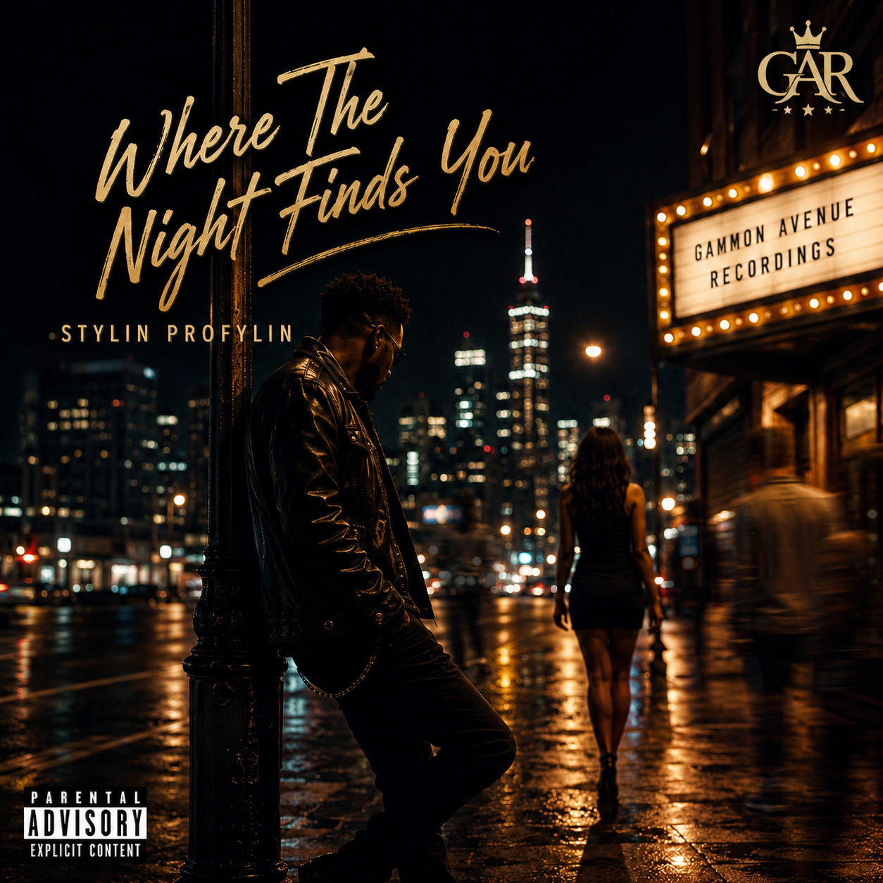 Where the Night Finds You cover art